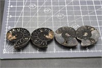 Ammonite Fossils, 2.9oz
