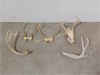 3 Sets of Deer Antlers & 2 Loose Antlers