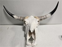 Large Cow skull with horns