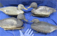 4 realistic duck decoys - made in italy (2of2)