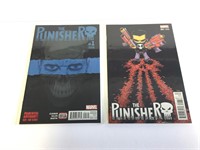 The Punisher (2 Books)