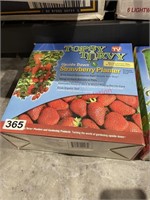 Upside Down Strawberry Planter