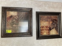 Pair of framed prints, tiger and zebra content