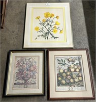 Vintage Botanical Framed Art Prints.