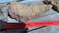 Garden Worm Rock / Fossilized Rock