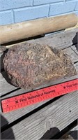 Garden Worm Rock / Fossilized Rock