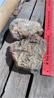 2 Garden Worm Rocks / Fossilized Rocks