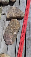 2 Garden Worm Rocks / Fossilized Rocks