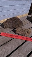 2 Garden Worm Rocks / Fossilized Rocks