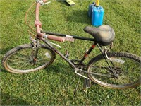 Ross Men's Bicycle