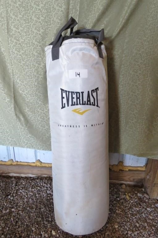 Everlast Heavy Training Bag