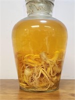 14" Bottle of Preserved Ginseng Root