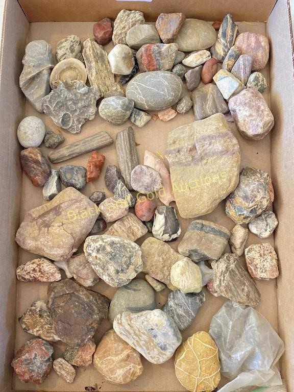 Flat Of Interesting Rocks And Fossils