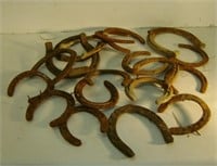 Group of Horse Shoes