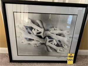 Signed Coral Print 23" X 26"