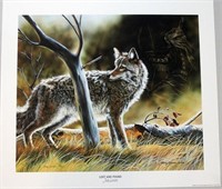 "Lost and Found" wildlife print, coyote