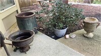 Outdoor Pots and Plant