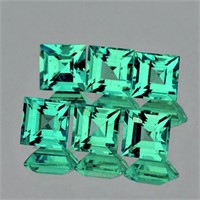 Natural  Green Emerald 6 Pcs [VVS-VS]