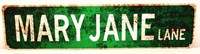 Metal Mary Jane Ln sign