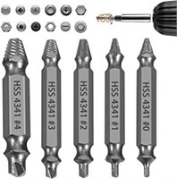 Newte Screw Extractor Set for Damaged Screw of