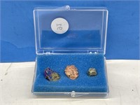 Cased Mineral Collection - Copper Nugget, Iron