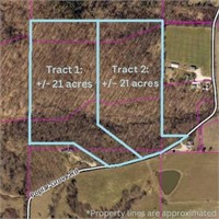 Tract 2: 21+/- Wooded Acres w/ Marketable Timber
