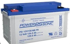 PG sonic household batteries $56