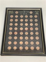 Land of the U.S.A. Collectible Pennies