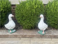 Pair of concrete ducks