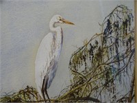 M. Chenhall Watercolor Painting Great Egret