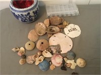 Seashells, Asian Style Planter & Pill Holder