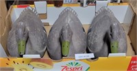 3 ARIDUK DUCK DECOYS