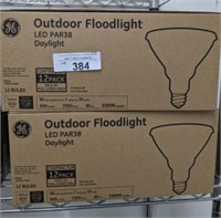GE OUTDOOR 2 PC FLOOD LED