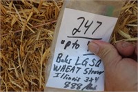 Straw-3x4-Lg.squares-Wheat