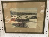 Desert Hand-tinted  Framed Art