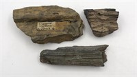 3 Units Fossilized Wood - 1 Is Labeled & 2 Unknown