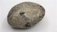 Petoskey Stone - Polished - 842 Grams / 1.856lbs