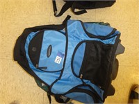 2 Luggage/Gym Bags