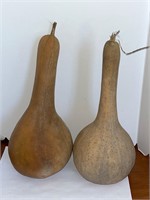 Dried Gourds Round (2 in lot) 13”Tall