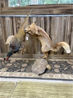 LEAPING FOX CATCHING PHEASANT