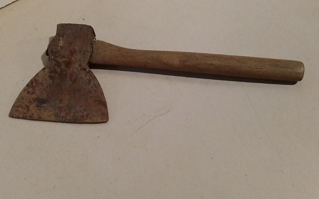 Single Bit Hatchet W/ Hatchet