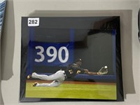 40- 8 X 10 PHOTOGRAPHS OF PITTSBURGH PIRATES IN