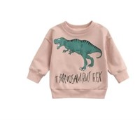 Faithtur Little Girl Dinosaur Sweatshirt Long Slee