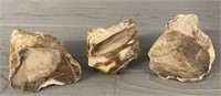 (3) Piece Petrified Wood from Saddle Mountain,WA