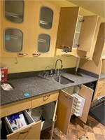 Petlon and Crane Solaris System sink & Dishwasher