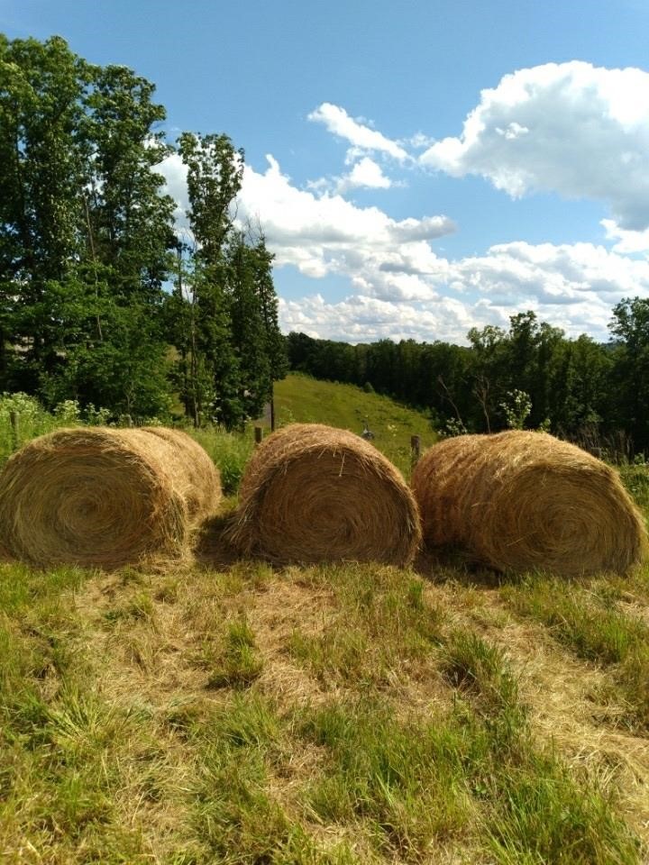 2 Round Bales of Hay