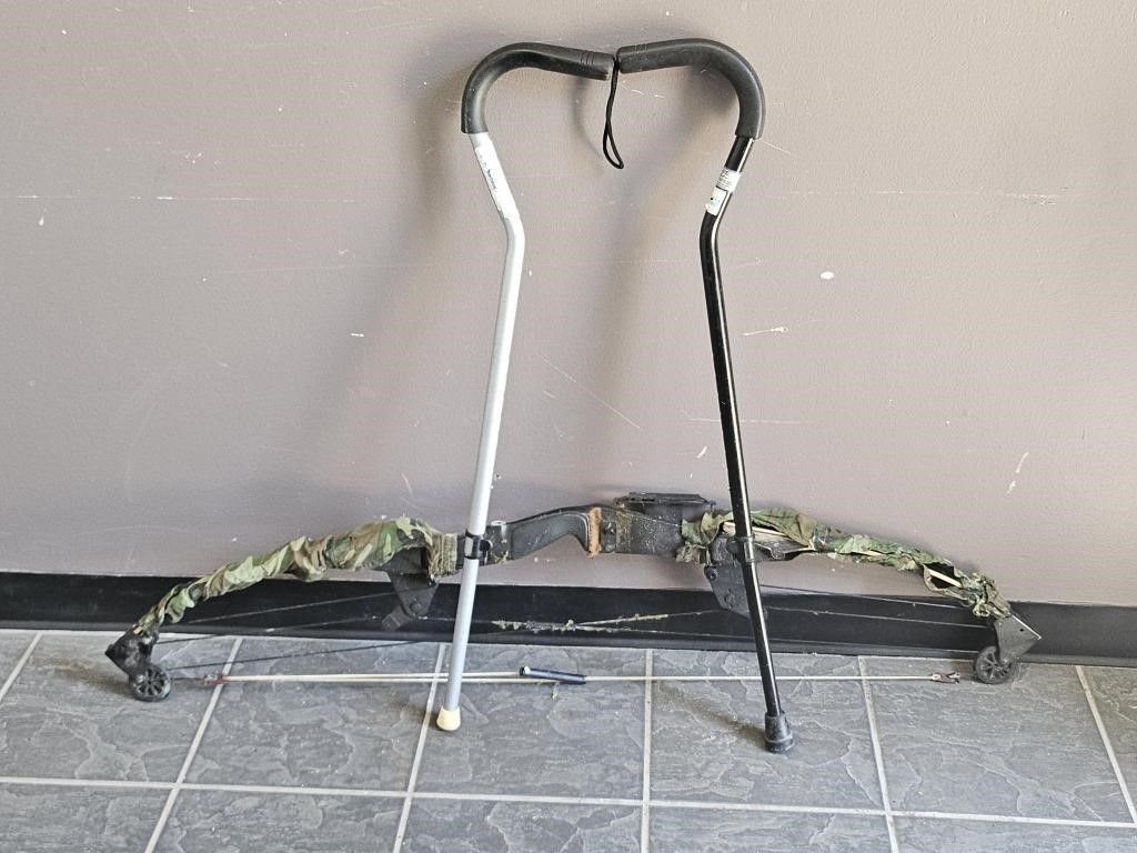 Bow and Adjustable Canes