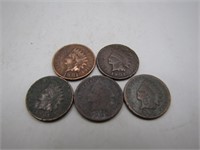 Lot of 5 1901 Indian Head Pennies