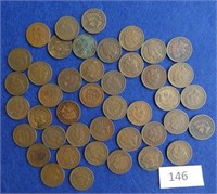 43 Indian Head  pennies