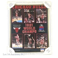 1991 Starline Chicago Bulls NBA Champs Poster